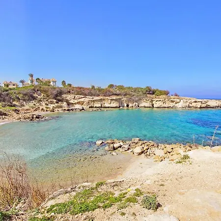 Teal Blu Πρωταράς